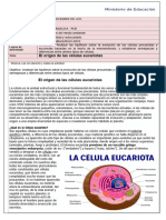 Ficha Pedagogica-Biologia-1ero-A-Del 4 Al 8 de Diciembre-2023-Pcei PDF