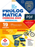 Basesprologmatica CHINCHA 2023