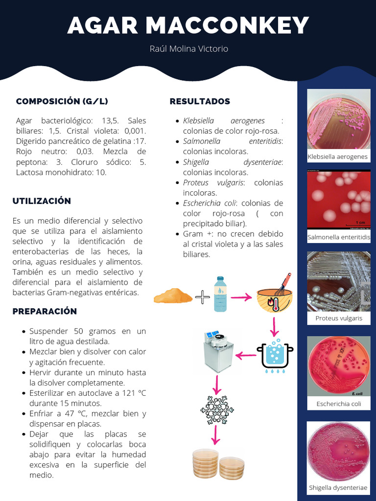 Preparación y Composición del Agar MacConkey | PDF | Cocina, comidas y vino