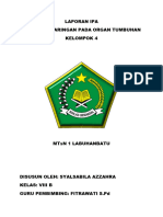 Laporan Pengamatan-1