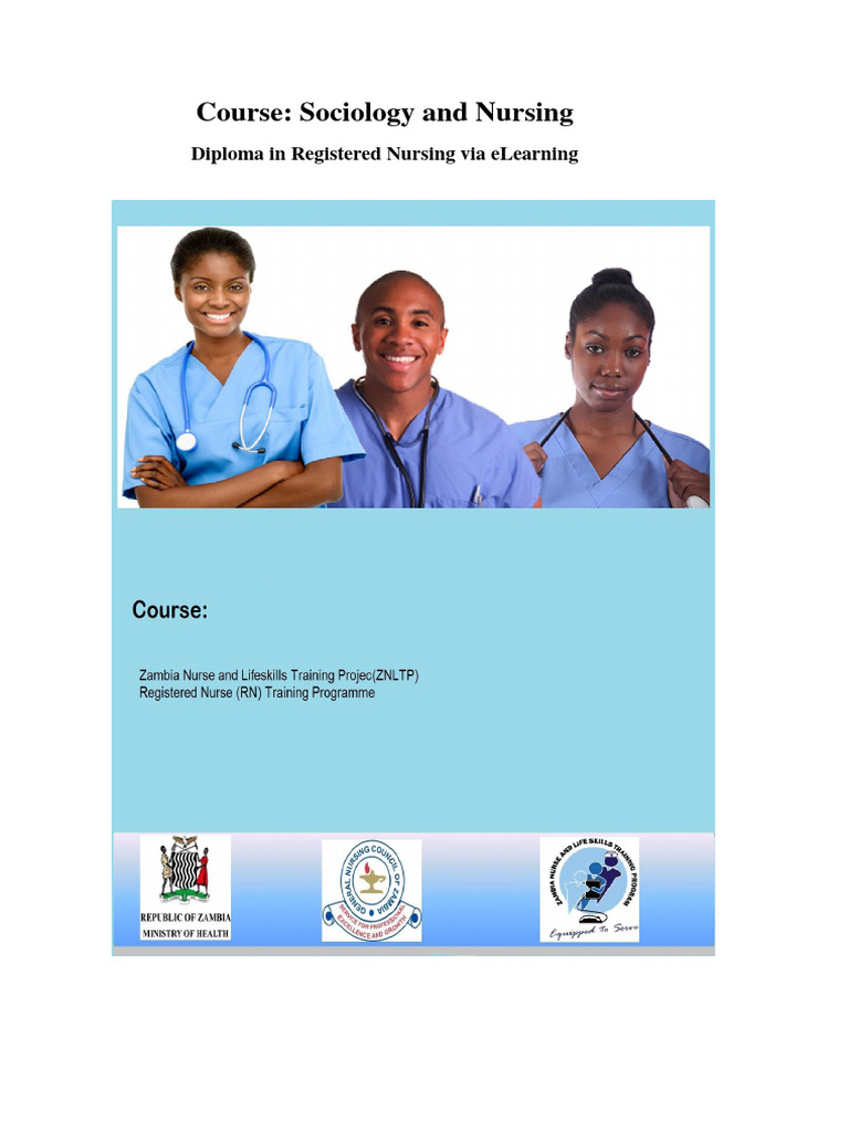 APPLICATION OF SOCIOLOGY IN NURSING SLIDESHARE PDF visual data 2