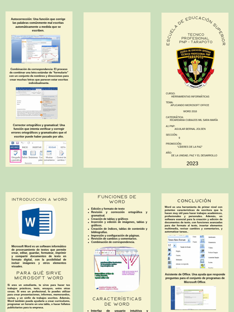 Word PNP | PDF