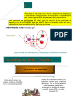 CLASE 6 - Proteínas y Ac. Nucleicos