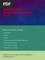 Class VII-Algebraic Expressions