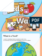 NZ P 6 What Are Needs and Wants Powerpoint - Ver - 1