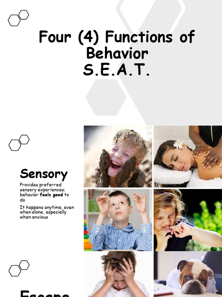 Describe Common Functions Of Behavior