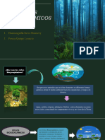 Ciclos Biogeoquimicos