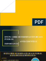 Dnupi Libre Determinacion de Los Pueblos