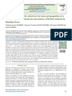 Search For A Suitable Substrate For Mass Propagation of A Local Strain of Trichoderma Harzianum (ThTab) Isolated in Burkina Faso