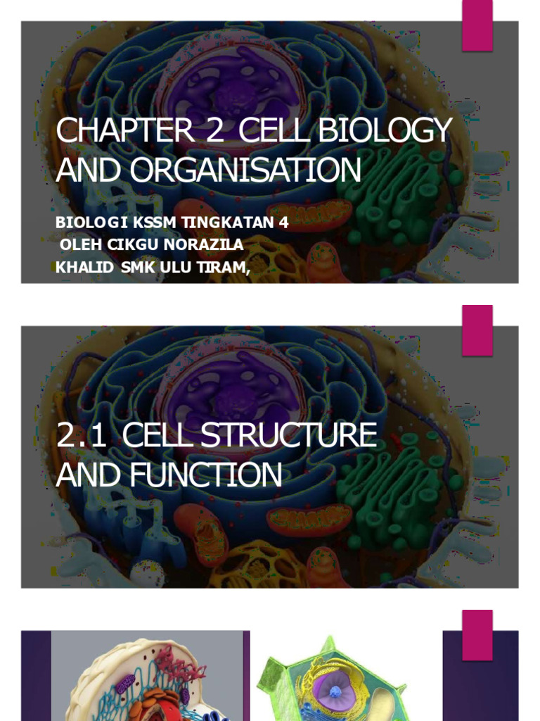 Bio f4 KSSM Chapter2 Cellbiology | PDF | Wellness | Science & Mathematics