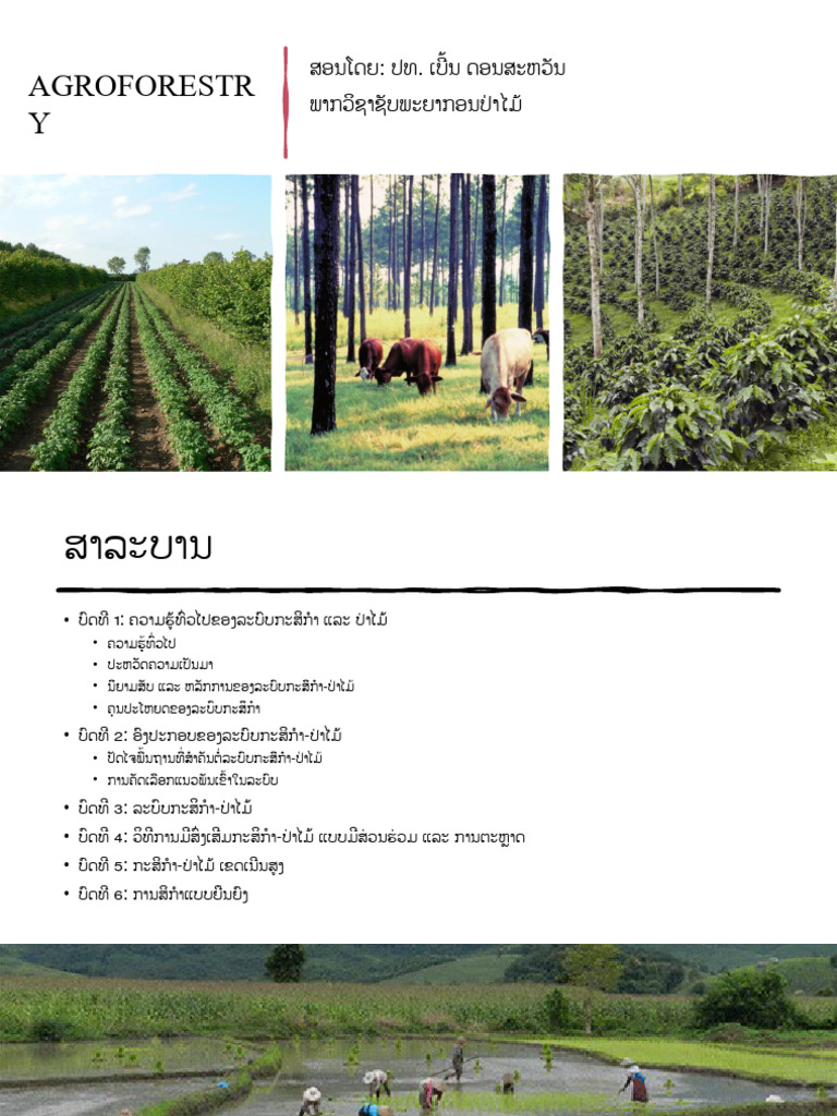 Agro Forestry Pdf