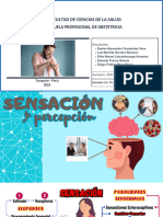 Sensación y Percepción Obstetricia ( (Delegado-Daniel Alexander Fernandez Vera)