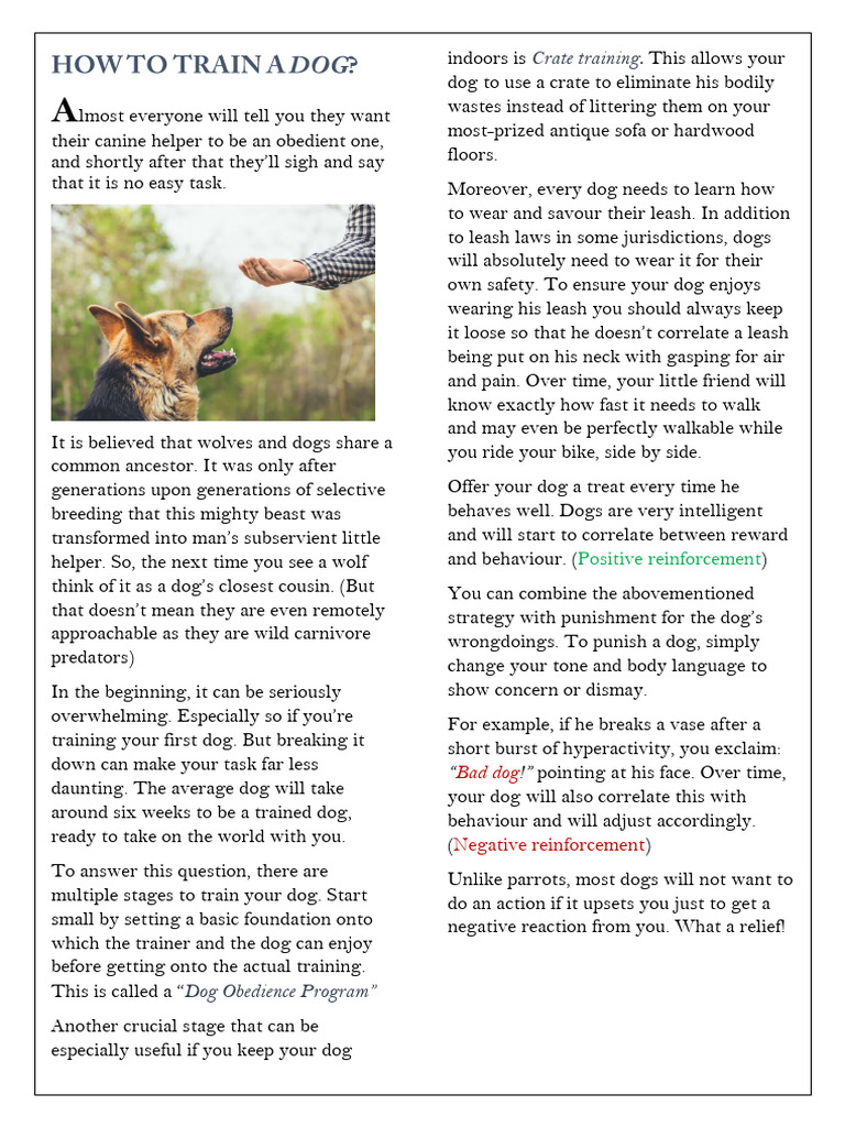Training Your Dog: A Guide to Obedience | PDF | Dogs | Animal Training