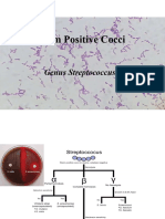 Streptococcus SPP