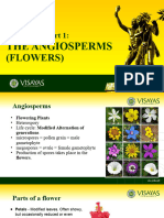 Botn 21n - Prelab - Exercise 10 - Angiosperms (Flowers)