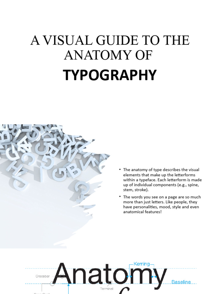 Anatomy of Typography Explained | PDF | Typefaces | Writing