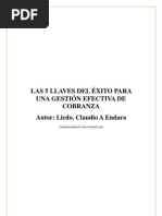 SPEECH DE COBRANZA NPNF.docx