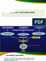 Lipidos y Metabolismo