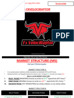 1 Fxvelociraptor. Market Structure