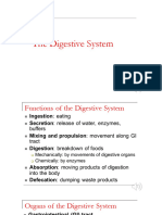The Digestive System Ver.3