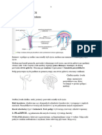 Notatki Biologia Dział II