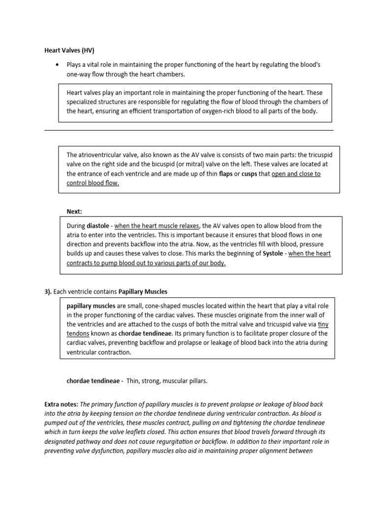 Heart Valves PDF Heart Valve Ventricle (Heart)