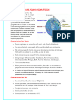 Ciencia y Tecnologia - 5 de Diciembre