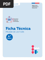 Ficha Tecnica Lectura Cierre 2023 6 Basico