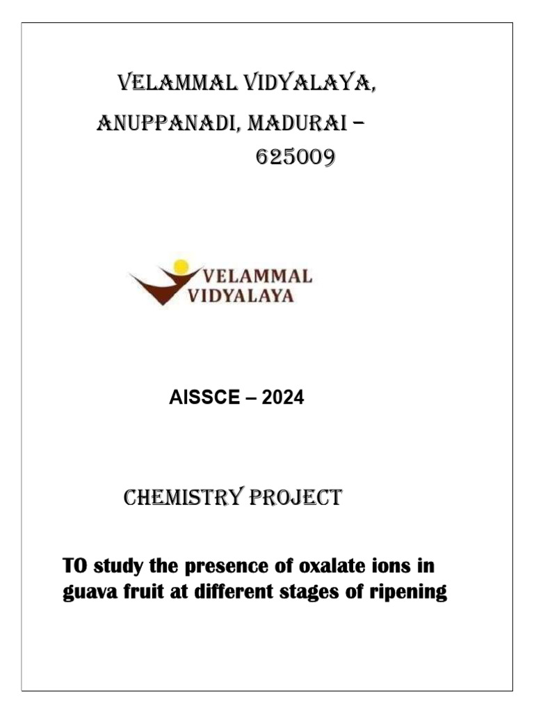 Mukilan Che Project | PDF