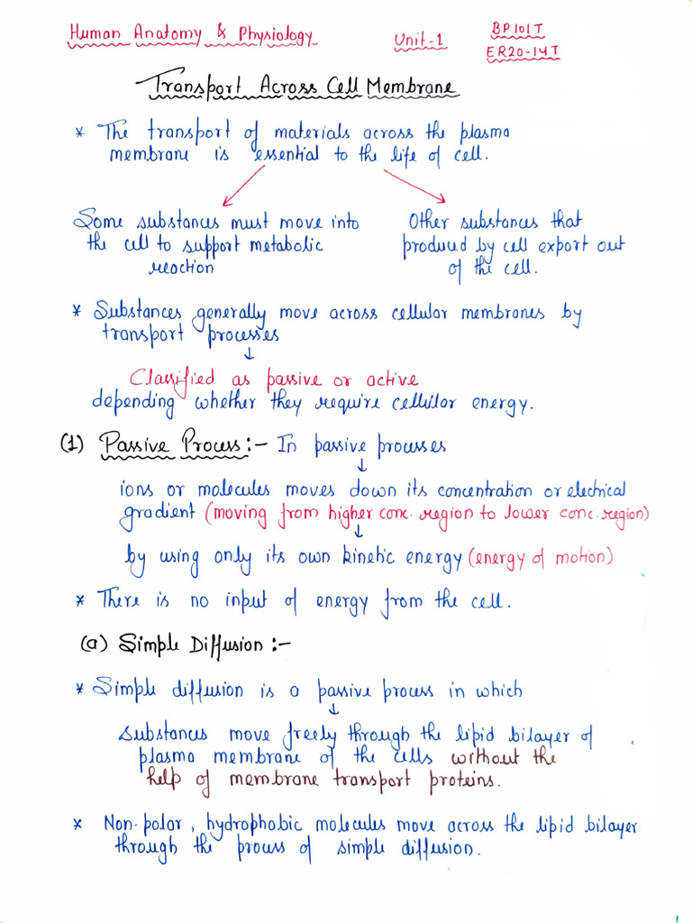 Plasma Membrane Transport Mechanisms | PDF | Cell Biology | Anatomy