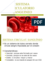 Sistema Circulatorio Sanguã Neo
