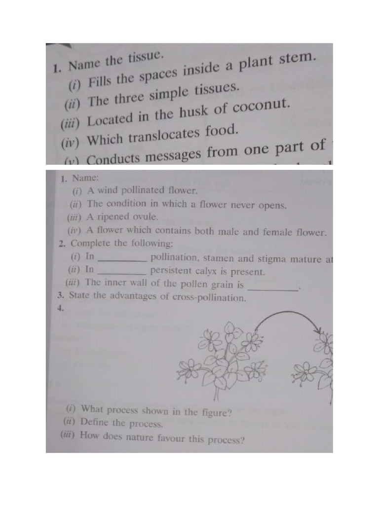 9b Unit Test Sample Pdf