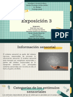 Exposición 3