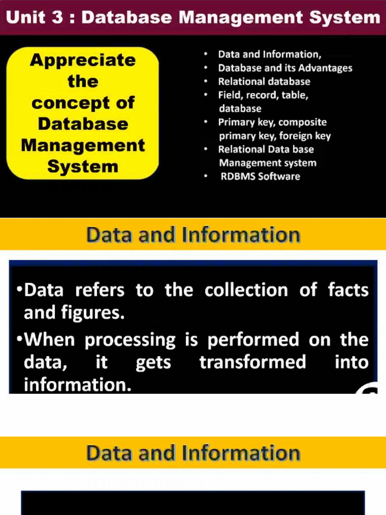 1 - Appreciate The Concept of Database Management System | PDF