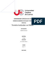 Torsion Testicular