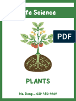 Parts and Needs of A Plant