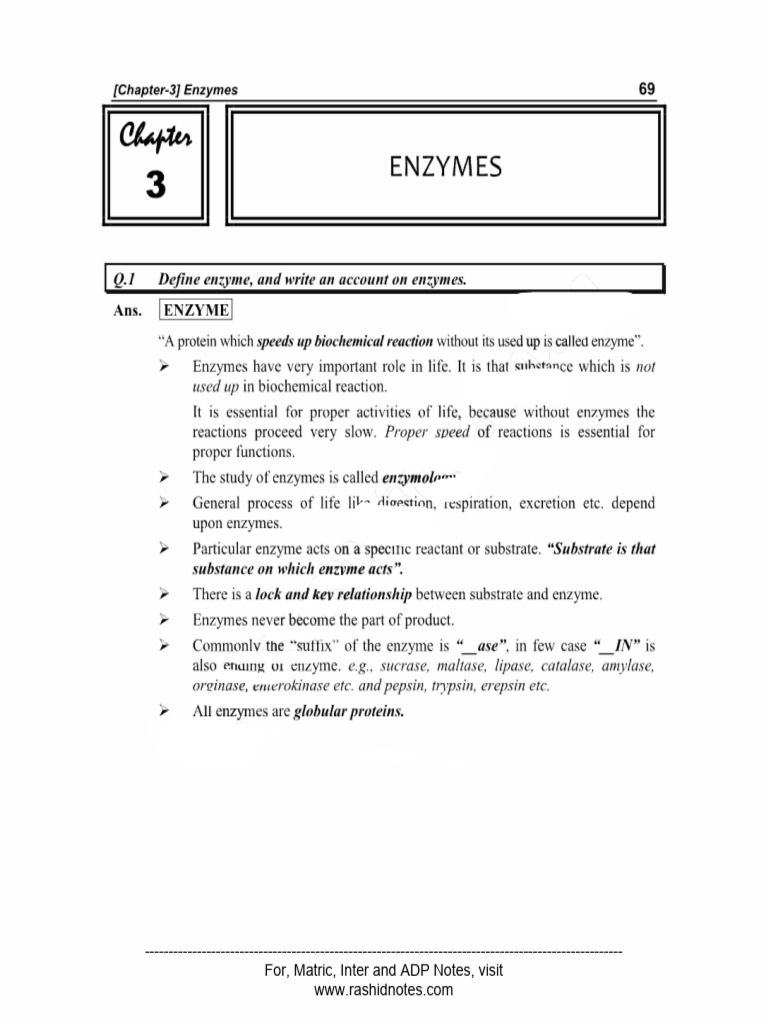 Class 11 Biology Chapter 3 Notes | PDF | Business | Computers
