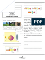 Grade 7 Science Term 2 Workbook 2 2023