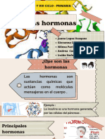 Copia de Las Hormonas