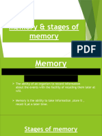 Memory and It's Stages 3