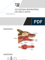 Doenças Do Sistema Respiratório em Cães e Gatos