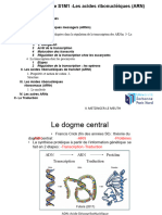 CM4-CM5-VMLM Bio Cell L1 SV S1M1 Les Acides Ribonucleiques 16 Octobre 2023