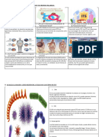 Material de Trabajo 31