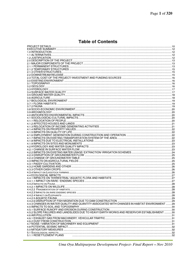 Final Text Report 20.11.2010 | PDF