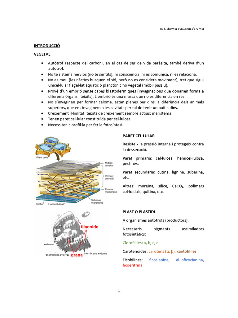 Botanica | PDF