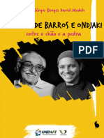 Manoel de Barros e Ondjaki: Entre o Chão e A Pedra