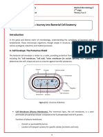 Microbiolgy 2nd Lec