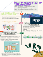 Infografía Cronología Collage de Recortes Beis