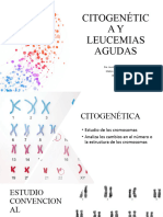 Citogenética y Leucemias Agudas