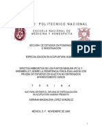 Instituto Politecnico Nacional: Adriana Magdalena López González